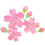 3月21日は営業します😊