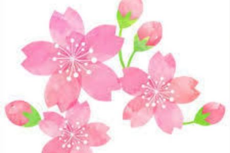 3月21日は営業します😊