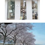 スガタも🌸春🌸です！