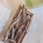 ワカサギの甘露煮