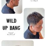 ワイルドアップバング