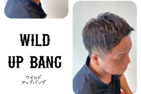 ワイルドアップバング