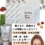 11月の営業日のお知らせ